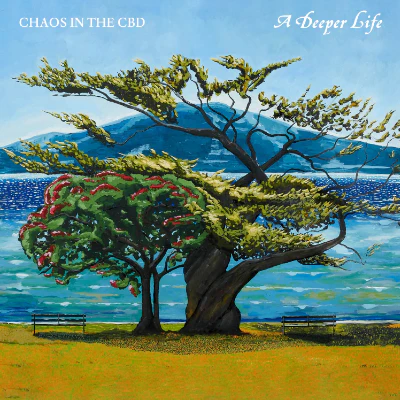Chaos in The CBD - A Deeper Life (Vinyl) - Image 2