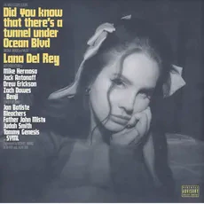 Del Rey, Lana - Did You Know That There’s A Tunnel Under Ocean Blvd (Black Vinyl) - Image 2
