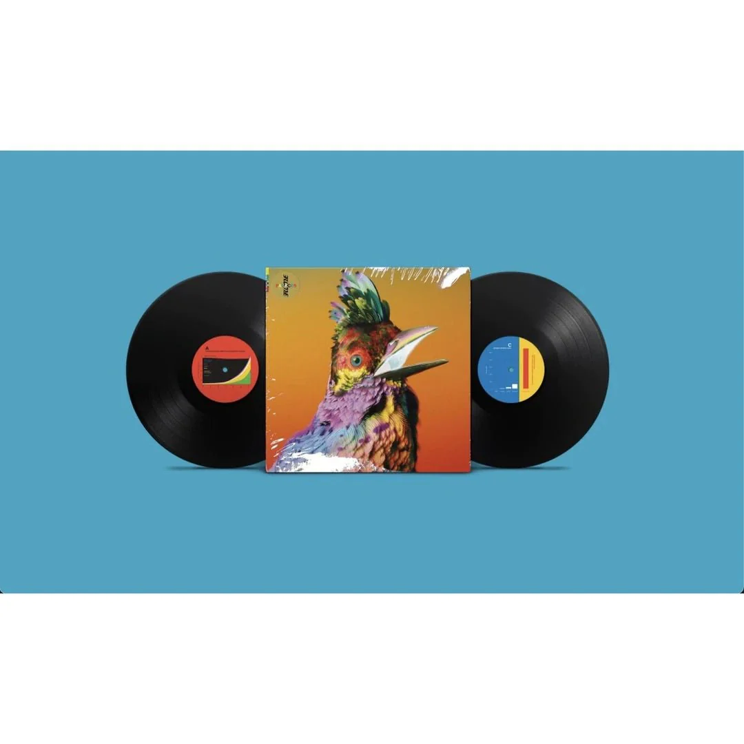 Flume - Palaces (2LP Vinyl) - Image 2