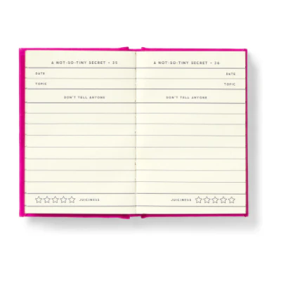 Tiny Diary for Not So Tiny Secrets - Brass Monkey - Image 2